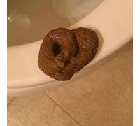 Wyjuan Fake Poopy Toy, Sproof Brown Realistic Fake Poop, Novelty Floating Fake Poop Toys for April Fools' Day Prank, Perfect Gag Gift, Prank Gift,Novelty Fake Poop Toy