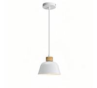WYJYANC Nordic Style Restaurant Chandelier, Creative Personality Island Bar Pendant Light Fixture, 10.2-inch Colorful Macaron Metal Lampshade, Modern Simple Home Decoration Lamp, for Dining Tables