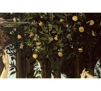 WYKUJMYTO Classic Canvas Picture Printing Canvas Art Wall Art Picture Spring detail of the orange tree tempera on by Sandro Botticelli Artwork on Wall for Office Decor 60x90cm
