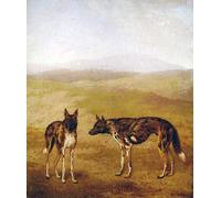 WYKUJMYTO Classic Canvas Picture Printing Canvas Art Wall Art Picture Two African Hunting Dogs by Jacques Laurent Agasse Artwork on Wall for Home Decor 60x90cm
