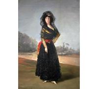 WYKUJMYTO Famous Oil Paintings Nordic Canvas Artwork Painting Graffiti Picture the Duchess of Alba by Francisco De Goya Artwork Canvas Prints for Home Decor 60x90cm