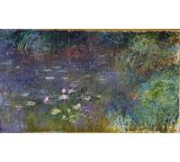 WYKUJMYTO Famous Oil Paintings Nordic Canvas Artwork Painting Graffiti Picture The Water Lilies Basin Without Willows Morning by Claude Monet Artwork Canvas Prints for Office Decor 60x90cm