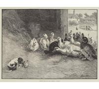 WYKUJMYTO Famous Painting on Canvas Artwork Picture Before Judge and Jury Verdict Guilty by Louis Wain Mural Art Prints for Home Decor 60x90cm