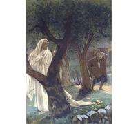 WYKUJMYTO Famous Painting on Canvas Artwork Picture Christ Appeared to Saint Peter Christ Appearing to Saint Peter by Jacques Mural Art Prints for Office Decor 60x90cm