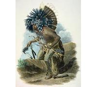 WYKUJMYTO Famous Painting on Canvas Artwork Picture Medicine Man of the Mandan Tribe in the Costume of the Dog Dance by Karl Bodmer Mural Art Prints for Home Decor 60x90cm