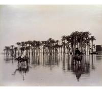 WYKUJMYTO Famous Painting on Canvas Artwork Picture Men on Camels While Crossing an Egyptian Desert Area Flooded by Félix Bonfils Mural Art Prints for Office Decor 60x90cm