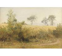 WYKUJMYTO Famous Painting on Canvas Artwork Picture the Bat Begins with Giddy Wing Barley Field Over the Hedge by William North Mural Art Prints for Office Decor 60x90cm