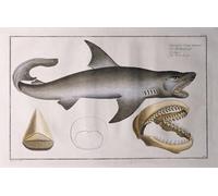 WYKUJMYTO Retro Picture Artwork Painting Art Wall Posters White Shark Pub by Ludwig Kruger Canvas Art Paintings for Office Decor 60x90cm