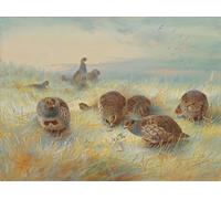 WYKUJMYTO Vintage Poster Abstract Wall Prints Pictures Wall Painting a Frosty Dawn by Archibald Thorburn Art Prints Painting for Office Decor 60x90cm