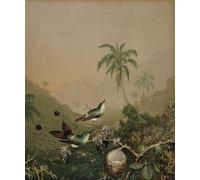 WYKUJMYTO Vintage Poster Abstract Wall Prints Pictures Wall Painting Brazilian Hummingbirds Ii by Martins Johnson Heade Art Prints Painting for Home Decor 60x90cm