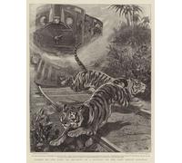 WYKUJMYTO Vintage Poster Abstract Wall Prints Pictures Wall Painting Tigers on the Line an Incident in a Journey on the East Indian Railway by John Charlton for Office Decor 60x90cm