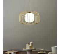 Wyld and Coco 1-Light Gold Cage Pendant Light - Industrial Iron Ceiling Lamp Wyld and Coco Gold