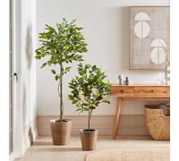 Wyld and Coco 156 cm Artificial Lemon Tree Indoor Decor in Green Wyld and Coco Green