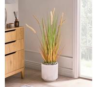 Wyld and Coco 90cm Artificial Bristlegrass Plant Green Orange Spikes in Black Pot Wyld and Coco Green