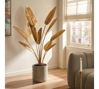 Wyld and Coco Artificial Banana Tree Gold 162 cm Potted Adjustable Leaves Cement Wyld and Coco Gold