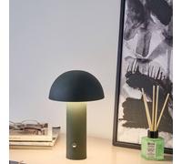 Wyld and Coco Dark Green Mushroom Table Lamp Wireless LED Iron Wyld and Coco Green