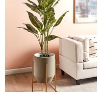 Wyld and Coco Grey Iron Plant Stand 33 x 33 x 62 cm Modern Industrial Gold Base | Size: Large Wyld and Coco Grey Large