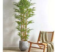 Wyld and Coco Lifelike Bamboo Tree 220 cm Green and Black Wyld and Coco Green
