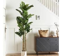 Wyld and Coco Monstera 221 cm Artificial Plant in Cement Pot in Green Wyld and Coco Green