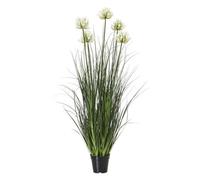 Wyld Haus 120Cm White Agapanthus Artificial Plant In Black Pot