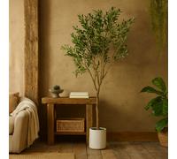 Wyld Haus 240Cm Extra-Large Mediterranean Artificial Olive Tree With White Pot