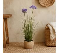 Wyld Haus 90Cm Purple Agapanthus Artificial Plant Pot Not Included