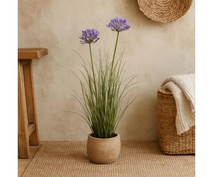 Wyld Haus 90Cm Purple Agapanthus Artificial Plant Pot Not Included