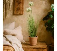 Wyld Haus 90Cm White Agapanthus Artificial Flower (Pot Not Included)