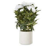 Wyld Haus Artificial Large White Peony Plant In White Ceramic Pot By