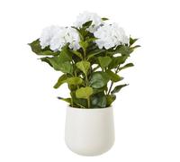 Wyld Haus Artificial Medium White Hydrangea In White Ceramic Pot