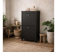 Wyld Haus Gossmere Shoe Cabinet Matt Black, 2-Door Freestanding
