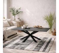 Wyld Haus Perth Black Ceramic Rectangular Coffee Table