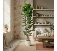 Wyld Haus Racori 180cm Artificial Fiddle Leaf Fig Tree Full Canopy Green Wyld Haus Green