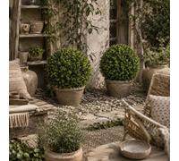 Wyld Haus Set of 2 Artificial Boxwood Topiary Balls with Ground Stakes 40cm in Green Wyld Haus Green