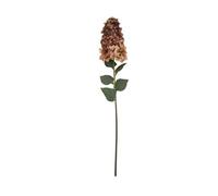 Wyld Haus Set Of 3 Artificial Burgundy Spear Hydrangea Stems, 880 mm