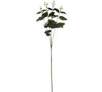 Wyld Haus Set Of 3 Artificial Cineraria Eucalyptus Sprays