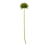 Wyld Haus Set Of 3 Artificial Green Moss Stems 670mm Decorative Filler