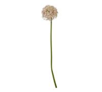 Wyld Haus Set Of 3 Artificial Lilac Medium Allium Stems, 800mm Decorative Silk Flowers