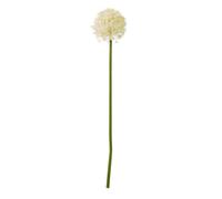 Wyld Haus Set Of 3 Cream Medium Allium Artificial Flower Stems 800mm