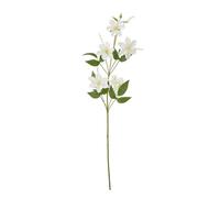 Wyld Haus Set Of 3 Cream Pearl Clematis Artificial Flower Sprays, 780mm Tall