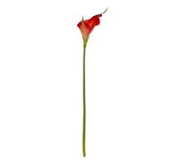Wyld Haus Set Of 3 Fireball Calla Lily Artificial Silk Flower Stems 700mm Tall