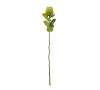 Wyld Haus Set Of 3 Green Banksia Artificial Flower Stems 590mm