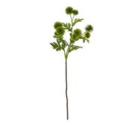 Wyld Haus Set Of 3 Green Globe Thistle Artificial Flower Sprays 560mm