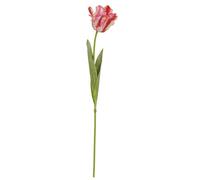 Wyld Haus Set Of 3 Multi Pink Parrot Tulip Artificial Stems 690 mm