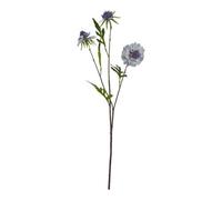 Wyld Haus Set Of 3 Pale Blue Scabious Artificial Flower Stems