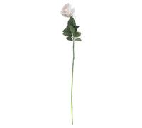 Wyld Haus Set Of 3 Palest Pink Tea Rose Artificial Stems 650mm