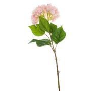 Wyld Haus Set Of 3 Pink Artificial Hydrangea Stems, Silk-Look Blooms, 700mm Tall