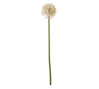 Wyld Haus Set Of 3 Pink Medium Artificial Allium Stems By