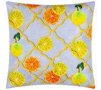 Wylder Citrus Trellis Outdoor Cushion Cover