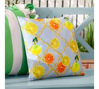 Wylder Citrus Trellis Outdoor Polyester Filled Cushion, Blue, 45 X 45Cm